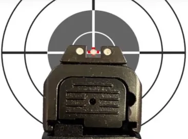 Accurate Way to Aim an APX Sight