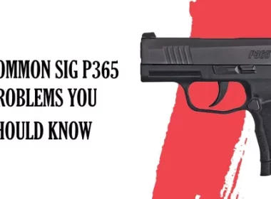 sig p 365