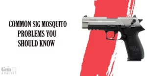 Common SIG Mosquito Problems