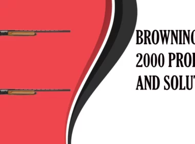 Browning 2000 Problems