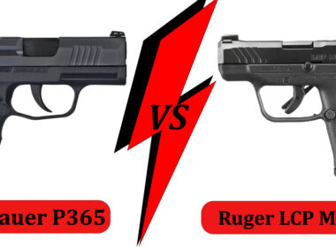 P365 Vs. LCP Max