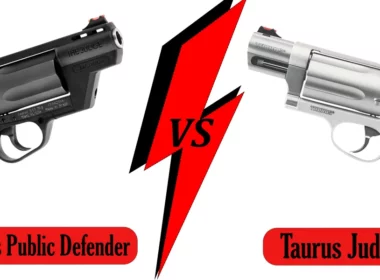 Taurus Public Defender vs Taurus Judge